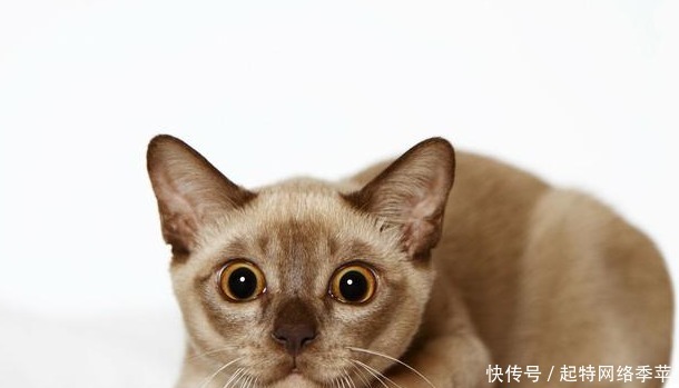 竟然|此人七次大难不死,然后一路开挂,当上一品高官,活了107岁