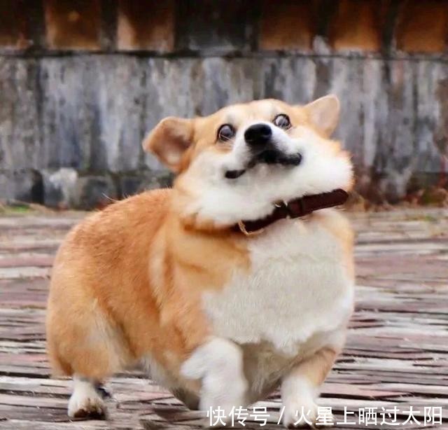 换上|50张幸运头像|换上必有好运