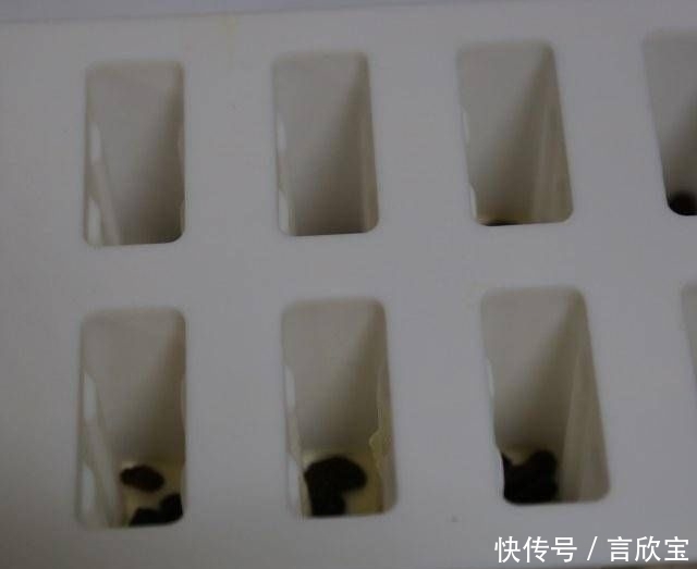 绿色|芒果青柠冰淇淋,简单的步骤,绿色健康,美味可口儿童最爱