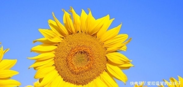 牢记|想要人生大富大贵,牢记以下3个口诀,有钱人都知道!