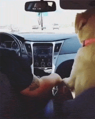 GIF|搞笑GIF:小姐姐别走,我们交个朋友