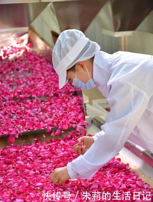 亲情|拿什么表达爱情、亲情和友情鲜花饼,很实用