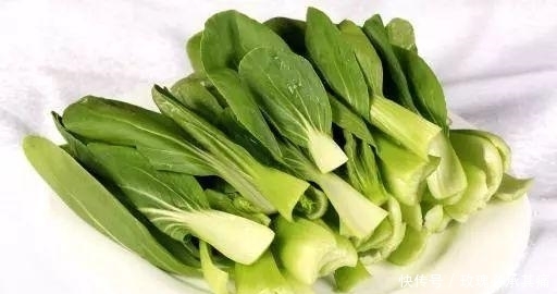  食物|南方人说: 北方的食物, 是世界上最大的骗子! ?