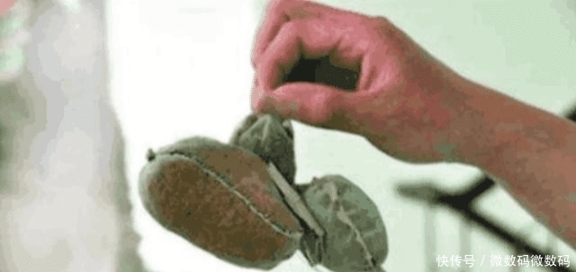 无声无息|监守自盗,工人自制“吸金球”无声无息盗取300万元黄金