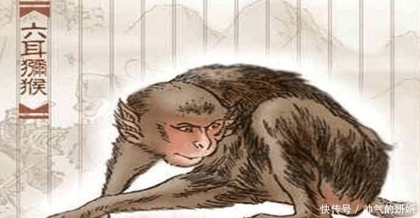  西游记|西游记中六耳猕猴为什么不怕如来佛祖, 他师父是谁呢? 我们都被骗了