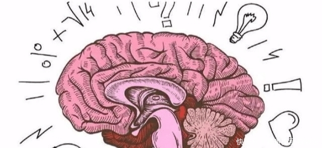 看完|人类大脑的“存储量”相当于几G的硬盘?看完你会觉得潜力无限