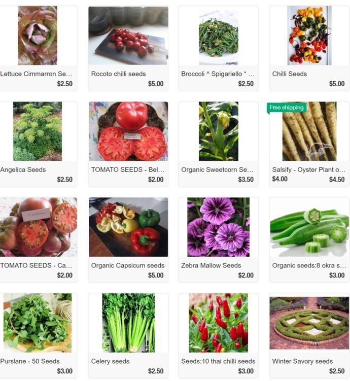 适合|冬天吃不起菜新西兰华人6月种菜攻略,适合新人上手