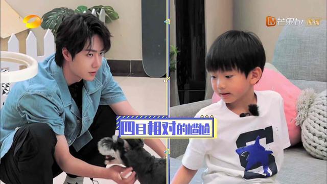  走后门|网传巴菲特是王一博亲狗，走后门出境，卷卷是影帝吗