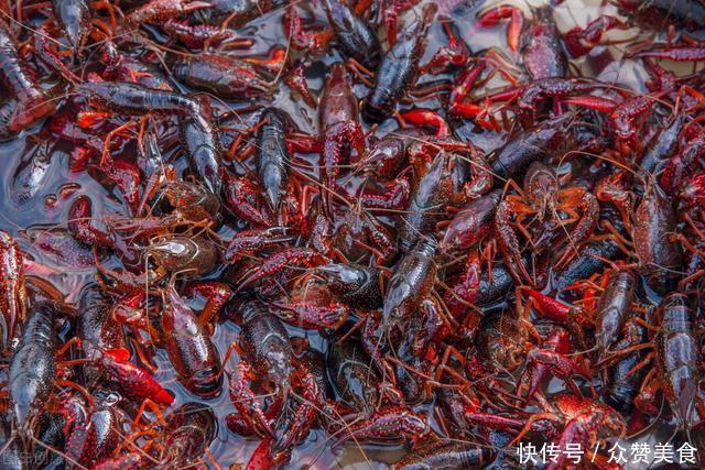  养殖基地|吃小龙虾也需要“望闻问切”