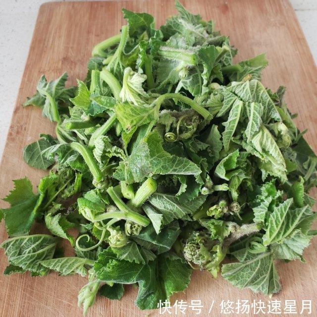  清炒|清炒南瓜苗，清脆爽口的农家菜