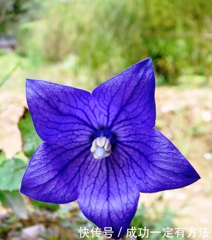 走心|经典走心的句子人生很多事，不是不懂，只是无奈，这就是生活