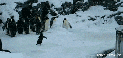 实在|GIF搞笑趣图: 好厉害的情侣, 这几个动作实在是高难度啊!