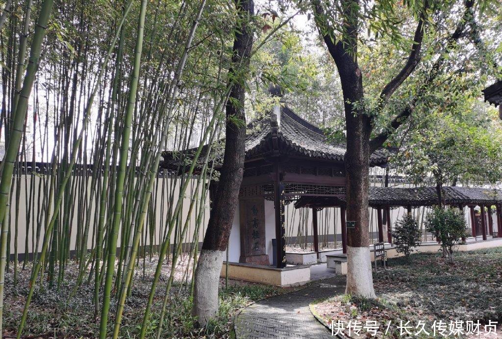  隐喻|这是总统府最隐敝的景点，常被游客遗漏，似乎隐喻着此人处世之道