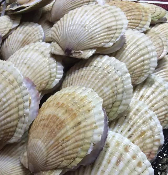 海鲜|世界上65种珍奇海鲜,贝爷都不敢说全部吃过,你吃过几种