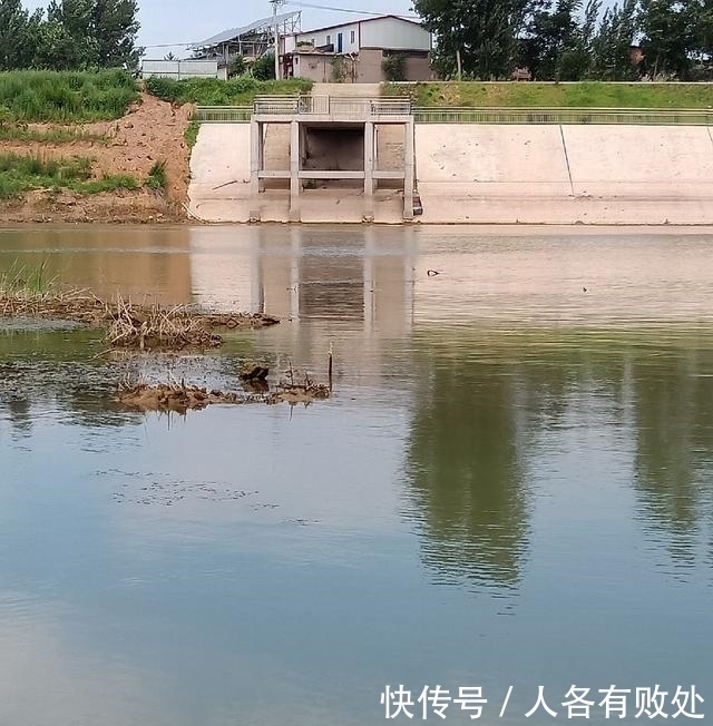 小将|再次征战大坝阵地，最终擒获“鲶军小将”