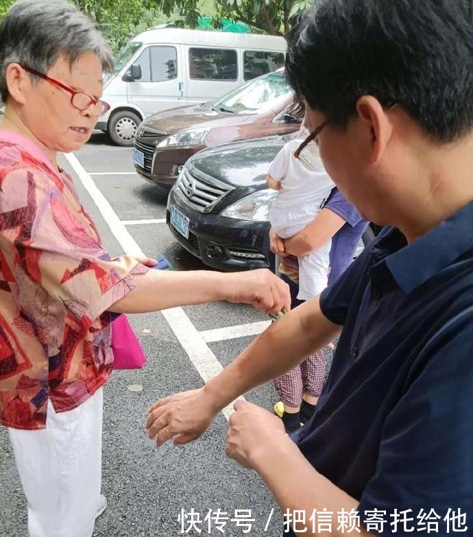 小区|百斤大野猪先后闯进学校和小区 已被警方击毙