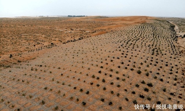  玩家|宝蓝生日妈妈粉斥巨资做公益，玩家表示感动：比肖战粉丝强多了