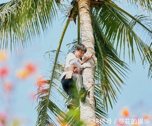 椰子树|官微说想念彭昱畅,网友让彭昱畅再坚持两天!发生了啥