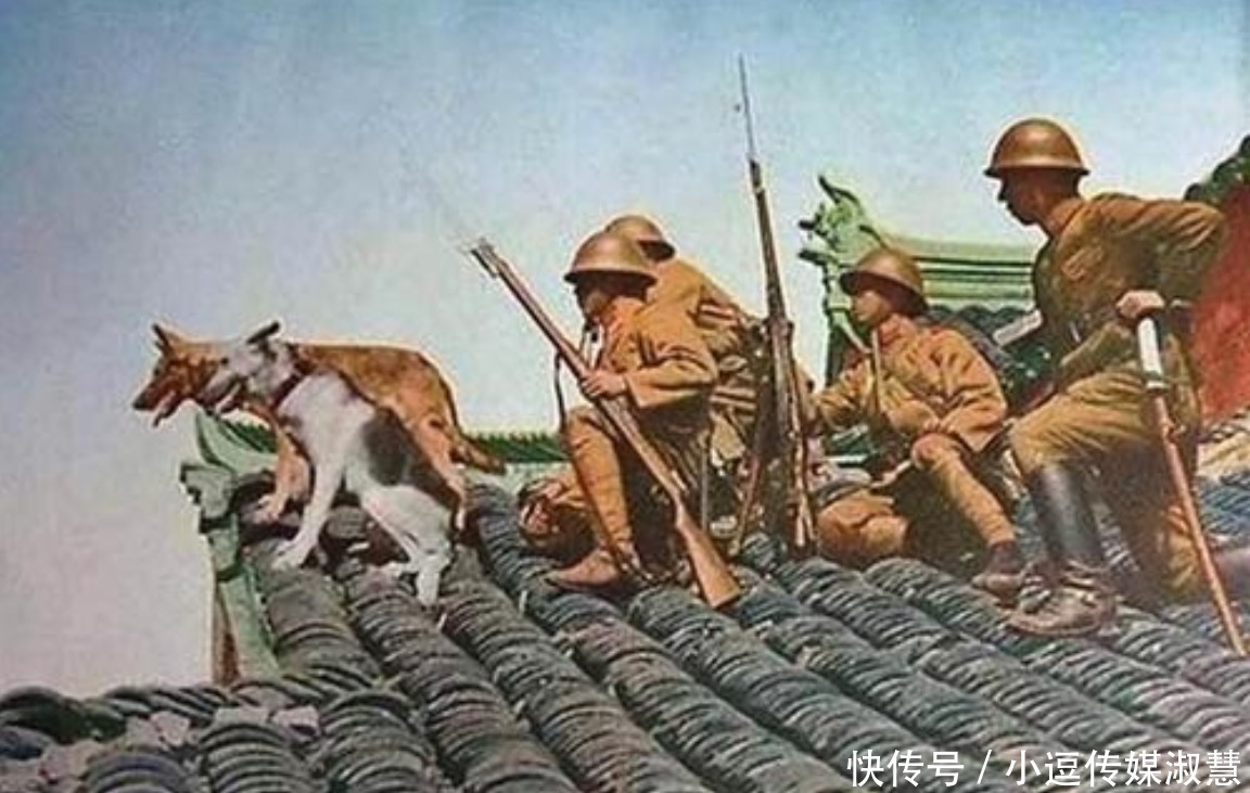 横扫|抗战14年，日军横扫大半个中国，最终掠夺了多少财富？