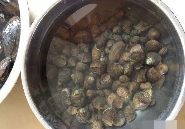 农村|农村十大野味,吃过一半的都是大神,第一名现在都吃不到了!