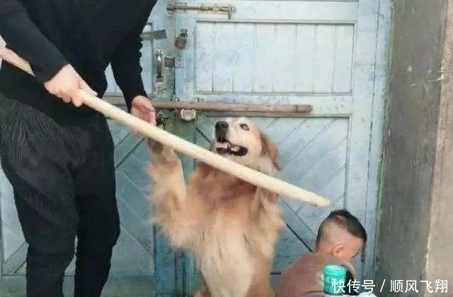 狗子|放宝宝和狗子单独在家,推开门一看不忍心打扰:太暖心了吧?