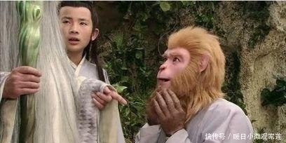 来头|难怪菩提教的最差学生是孙悟空,你看看菩提其他弟子什么来头?