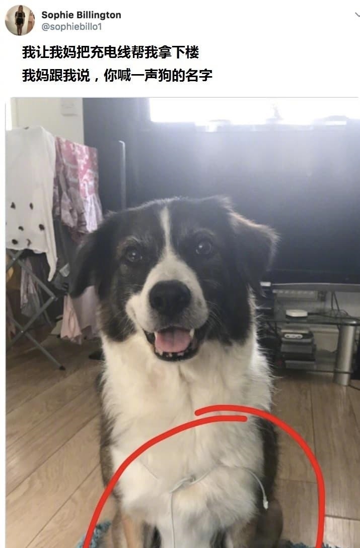 拍照|“女生间的拍照姿势,男生不能照搬,否则......”哈哈哈哈哈哈哈!