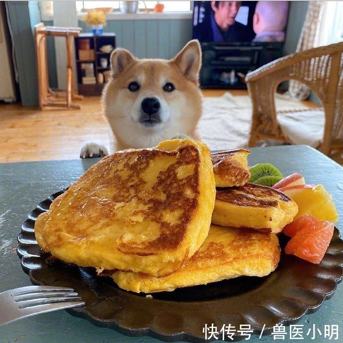 吃饭|女子每次吃饭，餐桌旁总会“长”出一颗狗头：再看就把你吃掉