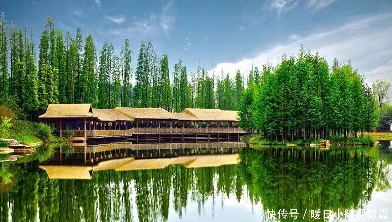  浅谈|浅谈秀丽东方IP对成都公园城市建设的借鉴作用