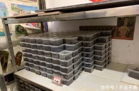 网店|粉丝300多万，年销售额1000多万！这家网店凉了