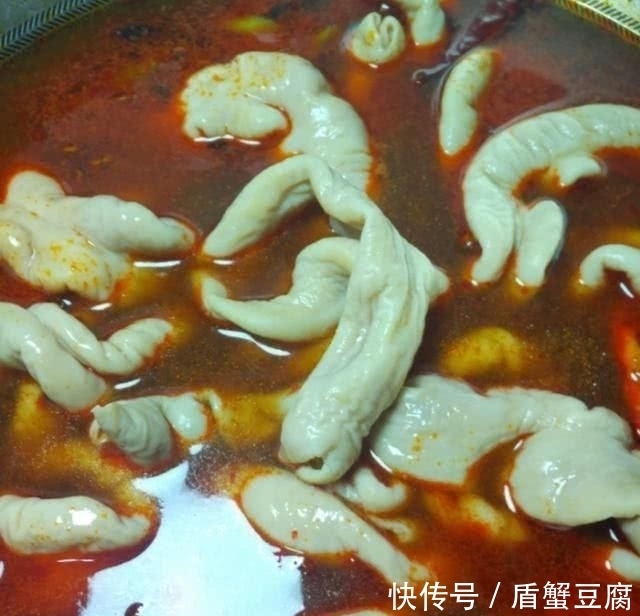 凉拌|可以直接切着吃,也可以炒着吃,还可以凉拌吃,满足各种的口味