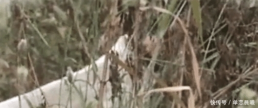  监控|妻子在家与发小约会，被丈夫抓了个正着，妻子却亲手毁了丈夫