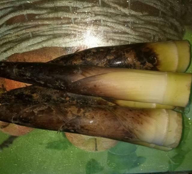 味道|清淡版的腌笃鲜,味道一点也不含糊,吃起来淡淡的香,很不错