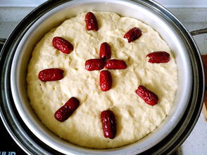  南瓜|美味的南瓜发糕，柔软不甜腻，老人小孩都喜欢吃