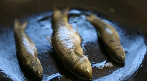 口感|日本最奇葩美食,吃之前必须要求穿尿不湿,食客口感一百分