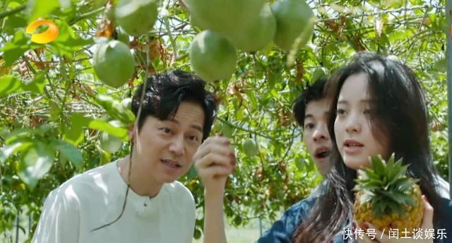 背景|《向往》本季最尴尬嘉宾,摘不熟西瓜、难插话,沦为人肉背景板