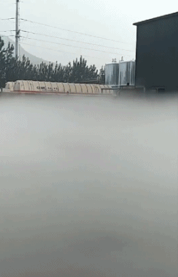 GIF|搞笑GIF:这家店藏这么深