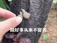 活鸡|搞笑GIF：厨师世家的孩子，从小就练爆炒活鸡