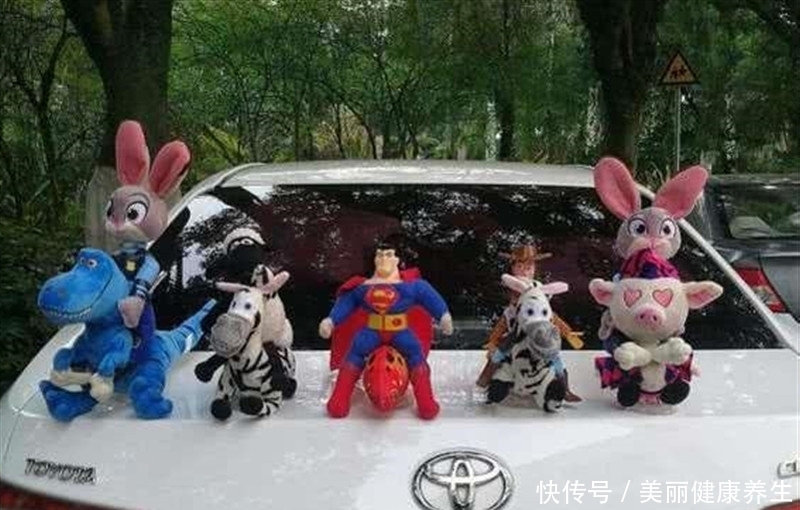 我一|车顶放玩偶被罚200?车主不服气:别人放怎么不罚,我一放就罚?