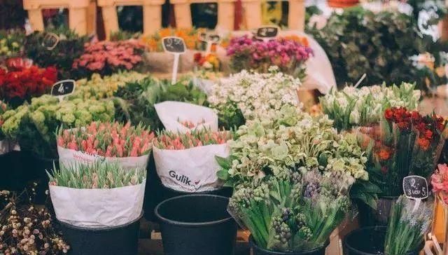 美好|余生珍惜时光的美好句子,简单干净,人见人爱