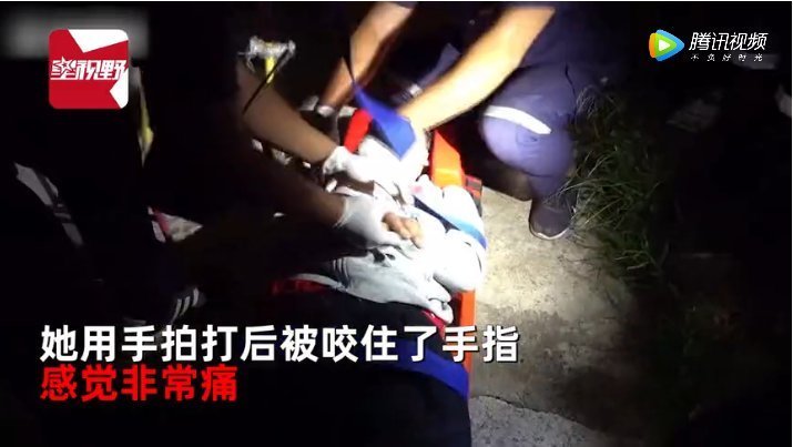  柬埔寨|柬埔寨女子半夜感觉床上有东西蠕动尖叫声惊醒丈夫拨打急救电话