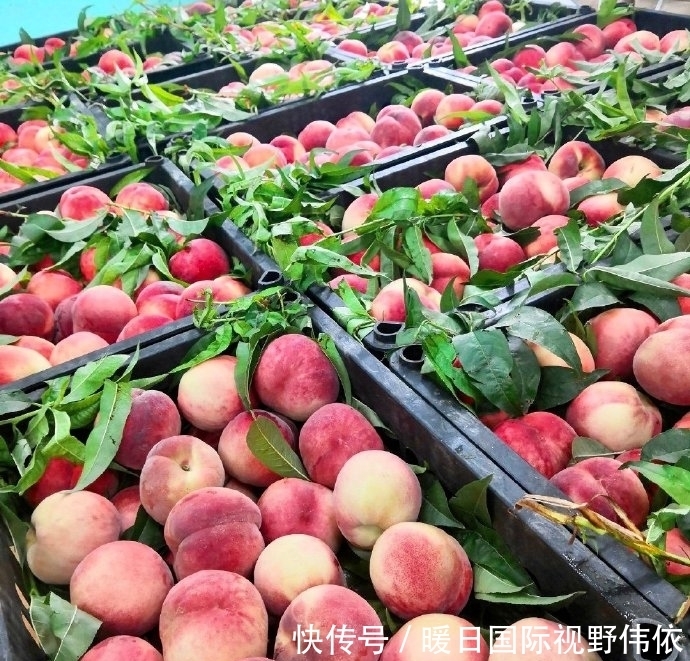 想吃|有一种大学食堂,叫“川大食堂”,学生:真不想毕业,没吃够