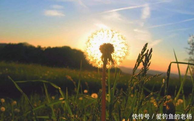 婚嫁|“结婚彩礼30万”终究你会明白，并非失去的每个人都算损失