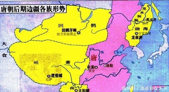  元朝|中国历史上有四个王朝的领土内能抓北极熊, 除了元朝还有它们!