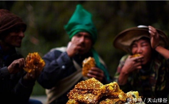 黄金|比黄金还贵,这是世界上最贵的蜂蜜,一瓶抵上一台宝马