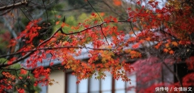  夸妻|纳兰性德最肉麻的一首词，开篇7个字惊艳世人，堪称夸妻典范