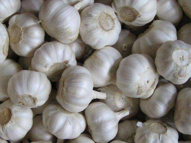  竟是|小小一颗蒜，竟是全家的保健“药”，每天来一瓣，保健效果佳