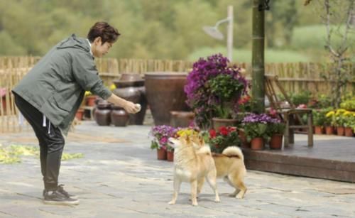 货架|《向往》再现穿帮镜头!黄磊发现村里小卖部,货架商品却露馅了!