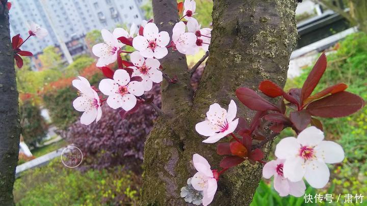 结局|很多人的爱情,都是随着毕业而终结的