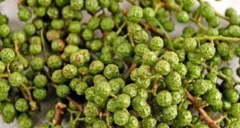 比肉|最好吃的鱼,营养是甲鱼8倍,16块钱一斤,比肉便宜无人买